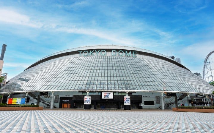 Tokyo Dome Tour: Field Access, Museum & Batting Challenge