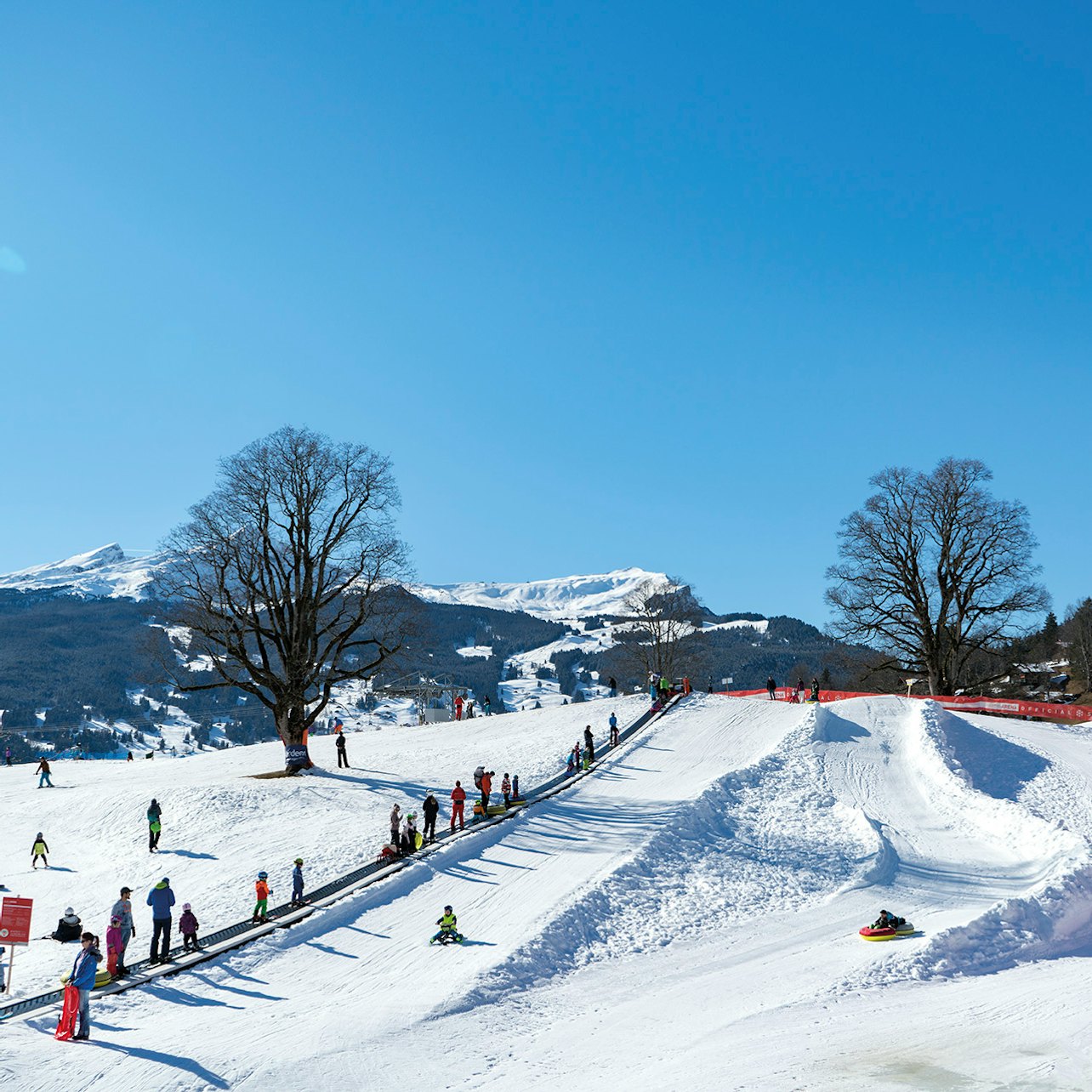 Bodmi Arena: Entry Ticket + Sledding Experience