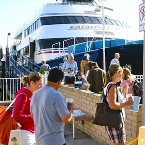 Catalina Island: Day Trip with Undersea Sub Expedition — gallery 1