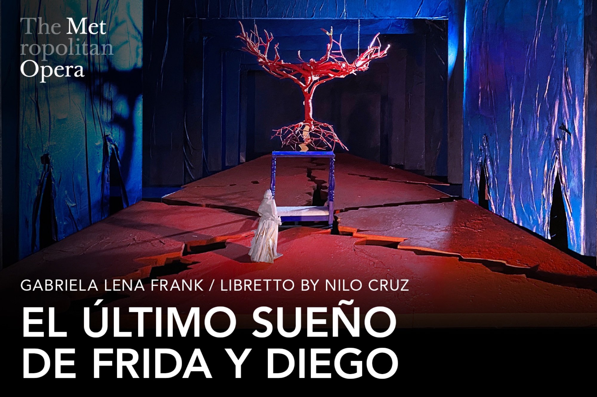 آخرین رؤیای فریدا و دیگو tickets at Metropolitan Opera House, New York, photo 2