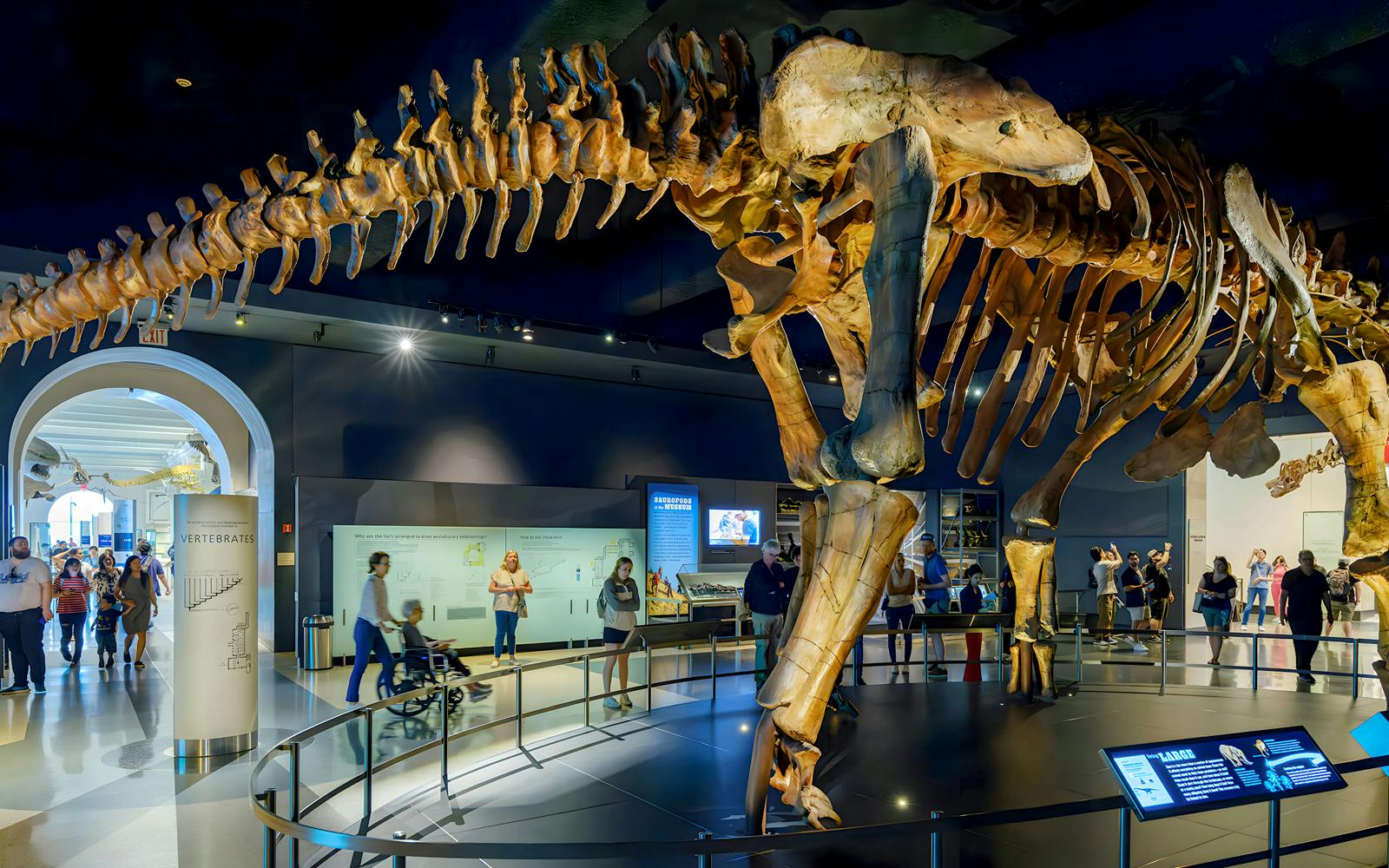 American Museum of Natural History Tickets + All Ticketed Exhibitions visitor view at American Museum of Natural History