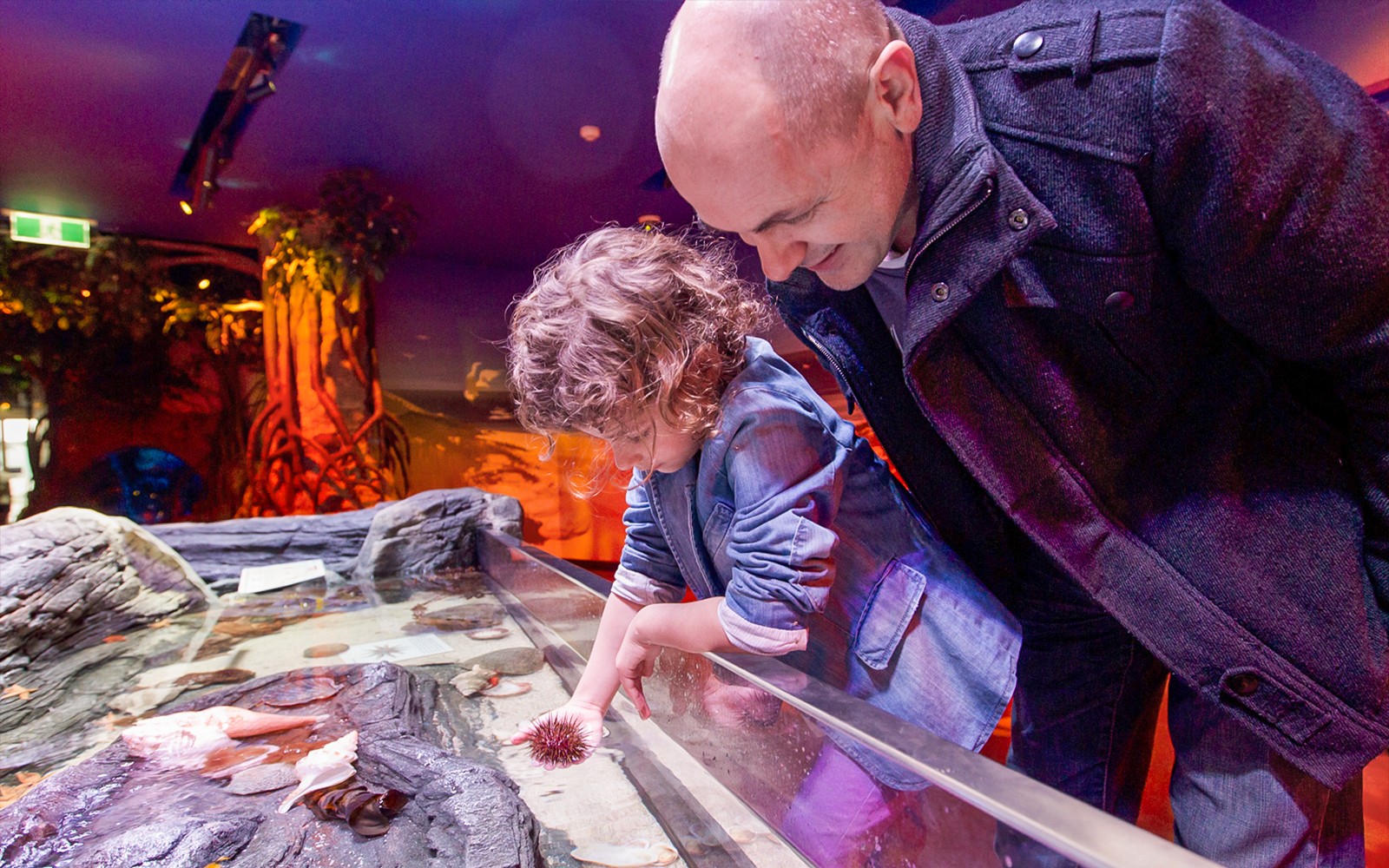 SEA LIFE Melbourne Aquarium Tickets