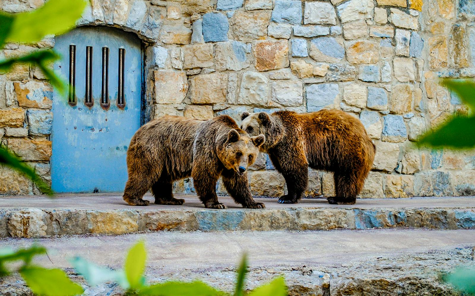 Jardim Zoológico Tickets