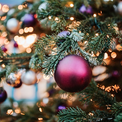 Copenhagen: Christmas Spirit Tour — gallery 4