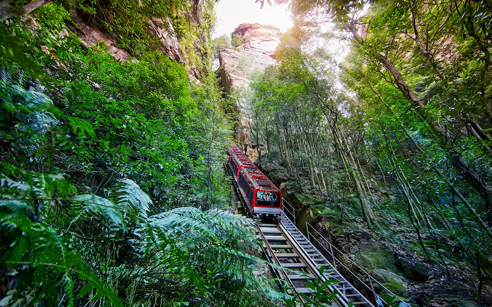 Blue Mountains Tour: Scenic World, Featherdale Wildlife Park & Harbour Ferry Return