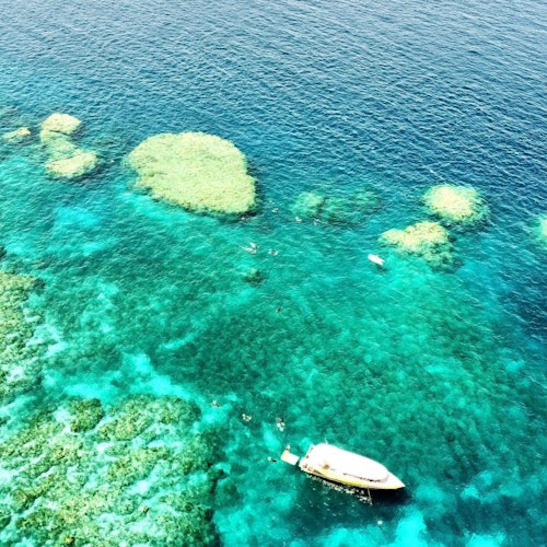 Outer Great Barrier Reef & Whitehaven Beach: Guided Snorkelling Tour from Airlie — gallery 4