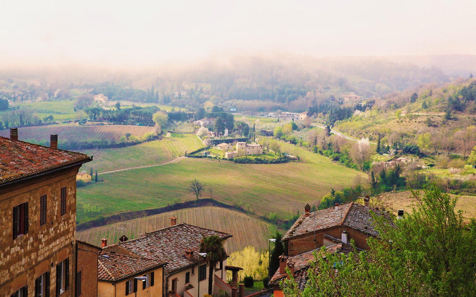 From Rome: Tuscany Day Trip with Lunch and Sommelier‑Led Tasting — gallery 2