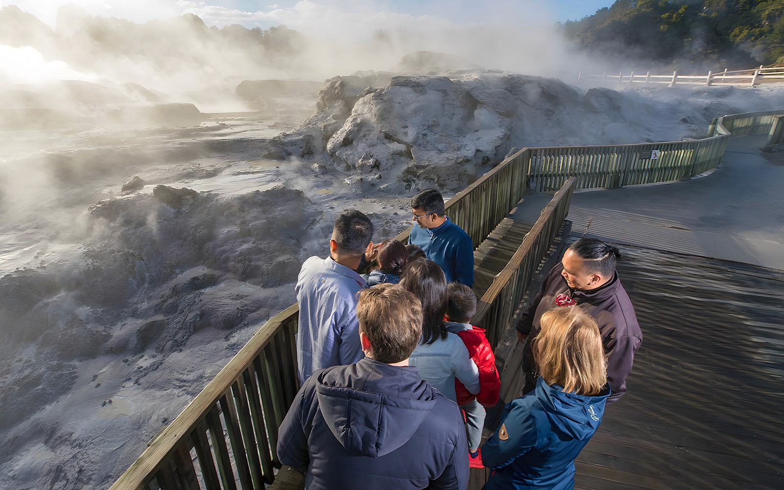 From Auckland: Hobbiton & Te Puia Tour with Festive Lunch & Hangi Dinner Buffet — gallery 5