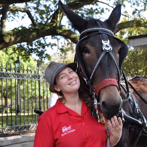 French Quarter by Mule Drawn Carriage: 60-Minute Tour