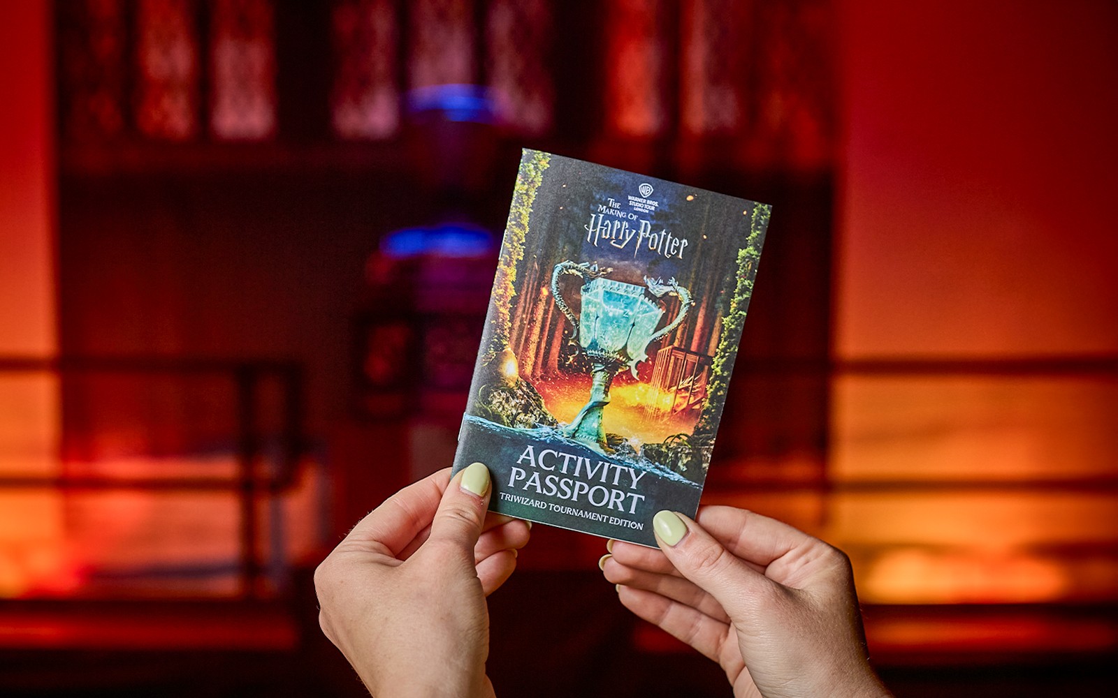 From London: Harry Potter™ Warner Bros. Studio Tour with Return Transport