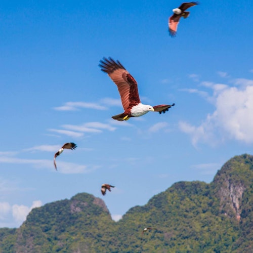 James Bond Island, Ko Panyi & Khai Island: Speedboat Tour from Khao Lak + Lunch — gallery 2