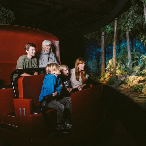 The Viking Museum: Entry Ticket — gallery 1
