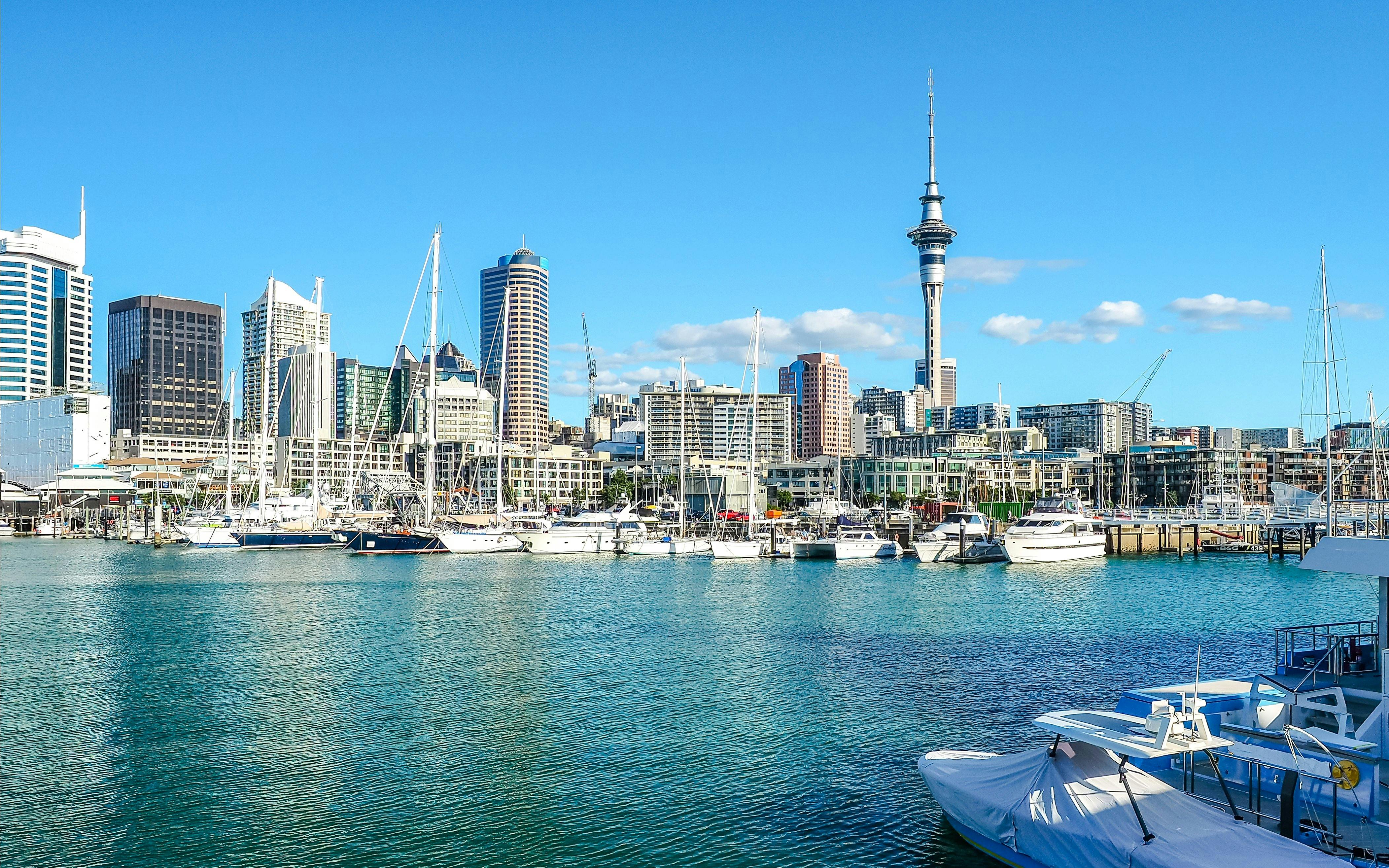 Auckland Harbour Scenic Sightseeing Cruise