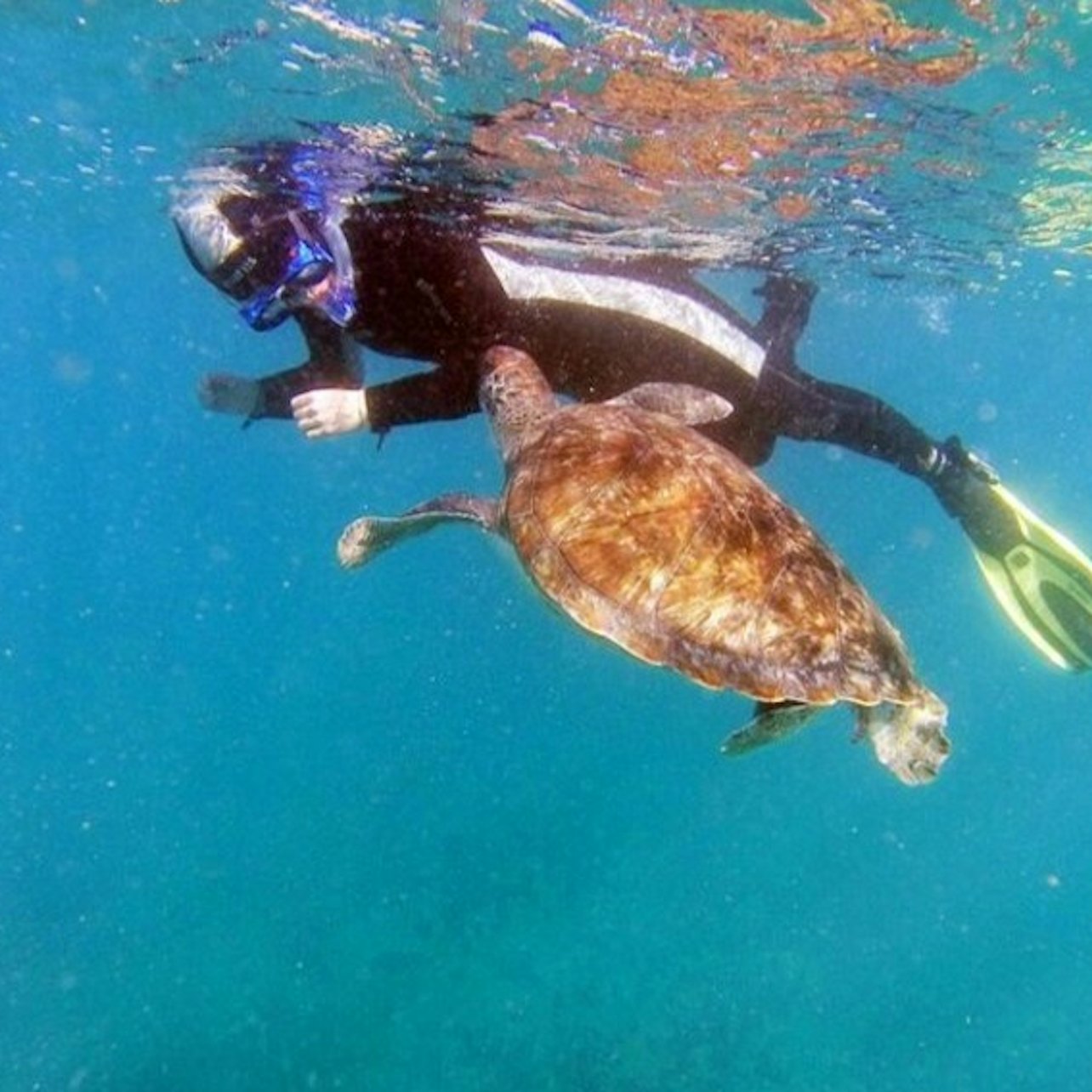 Tenerife: Guided Kayking & Snorkeling Tour