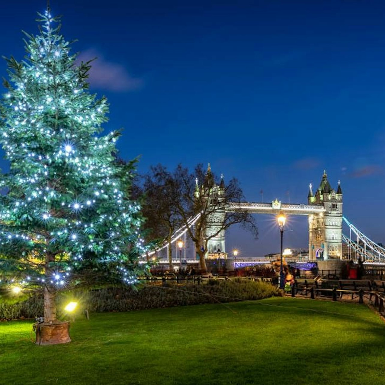 London: Christmas Lights Guided Night Tour — gallery 1