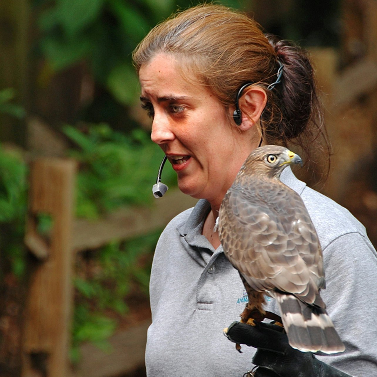 Flamingo Gardens: Skip The Line Ticket