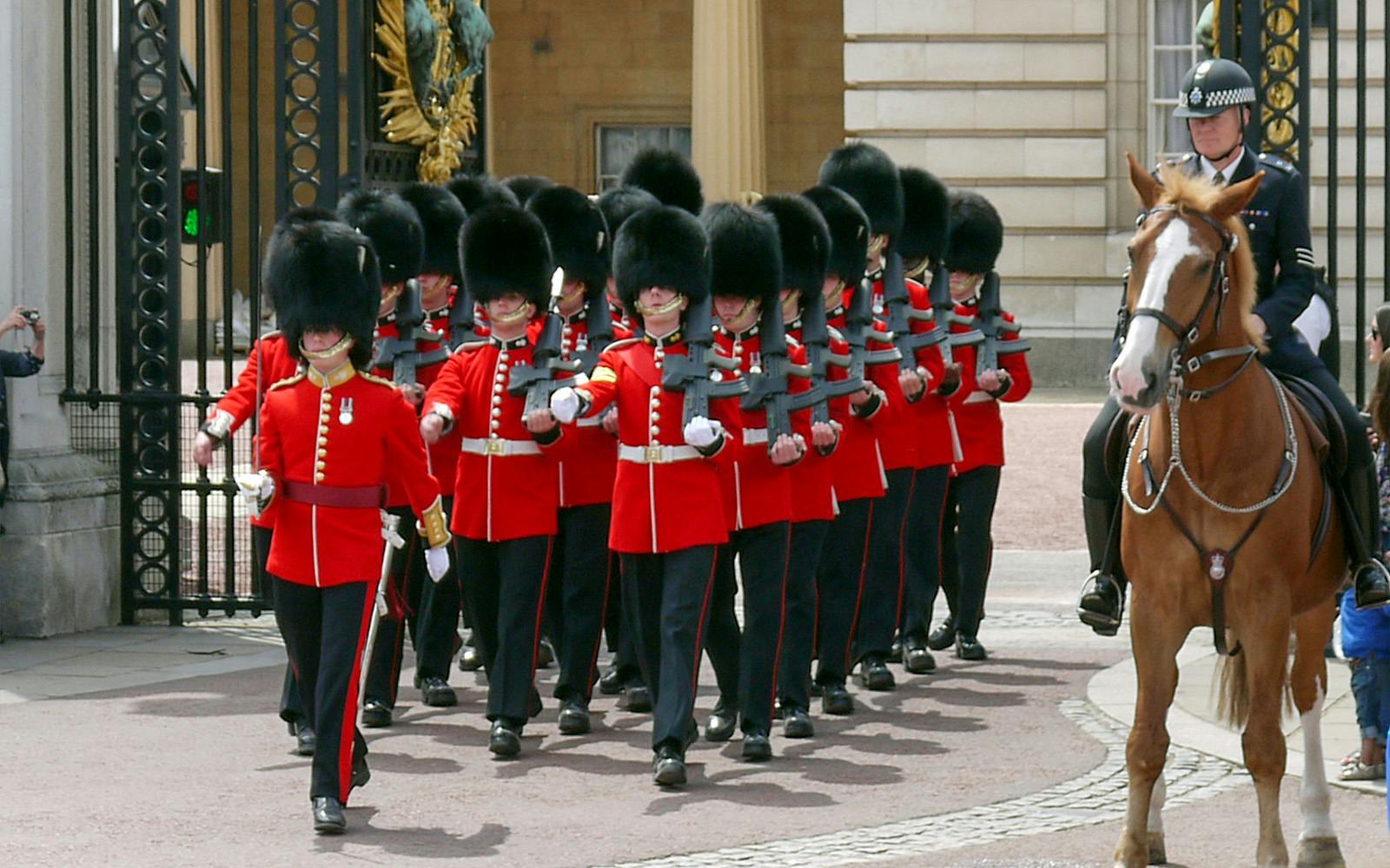 Buckingham Palace State Rooms Tickets & Changing the Guard Tour visitor view at same as tid x vid combo stated above