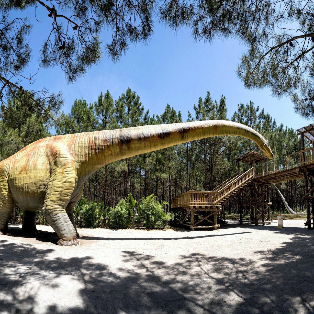 Dino Parque Lourinhã: Entry Ticket