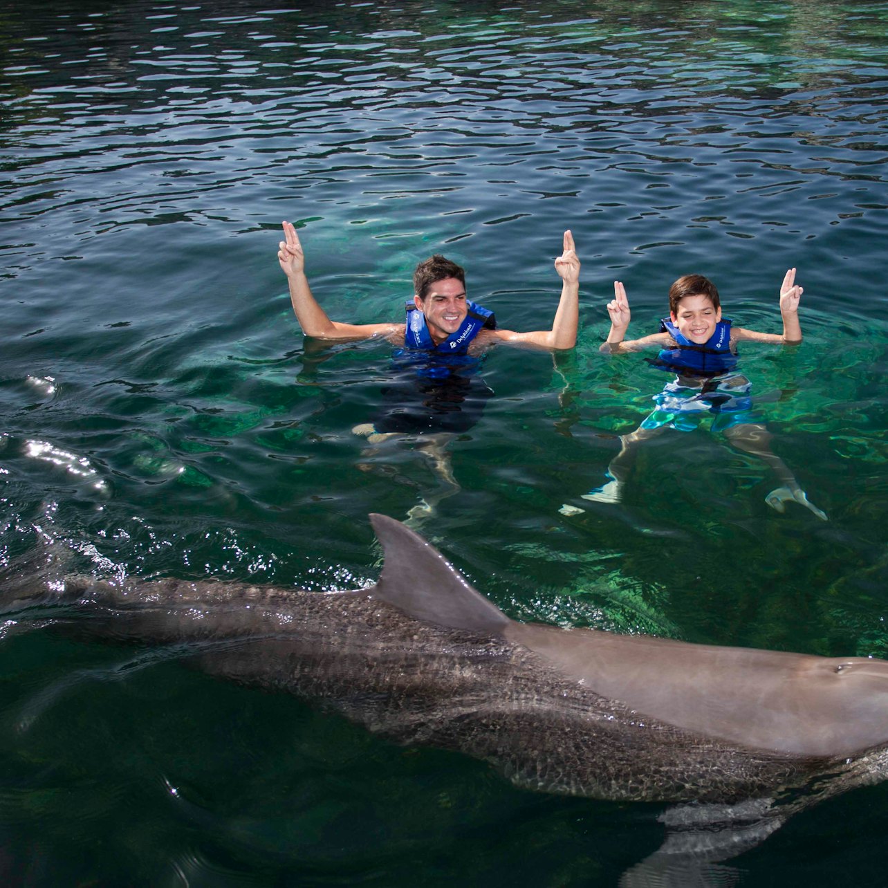 Delphinus Xcaret: Swim with Dolphins