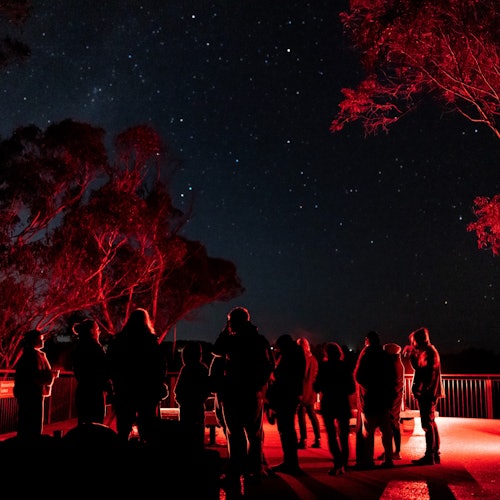Blue Mountains Stargazing Tour — gallery 4