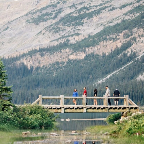 Columbia Icefield: Guided Day Tour from Banff + Skywalk Entry + Lunch — gallery 2