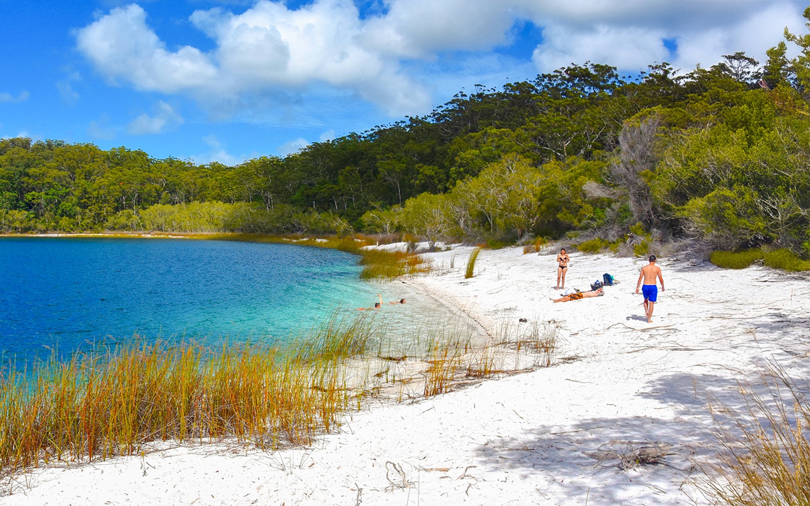 From Rainbow Beach: K'gari (Fraser Island) 1-Day Classic Tour
