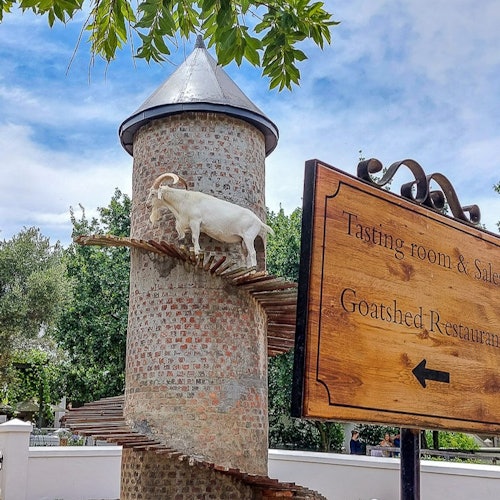 Cape Town: Small-Group Aquila Safari Tour with Wine Tasting — gallery 2