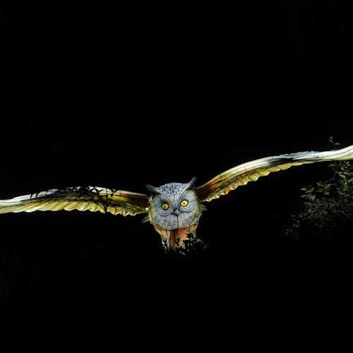 Faunia Nature Park: Brilla Faunia — gallery 3