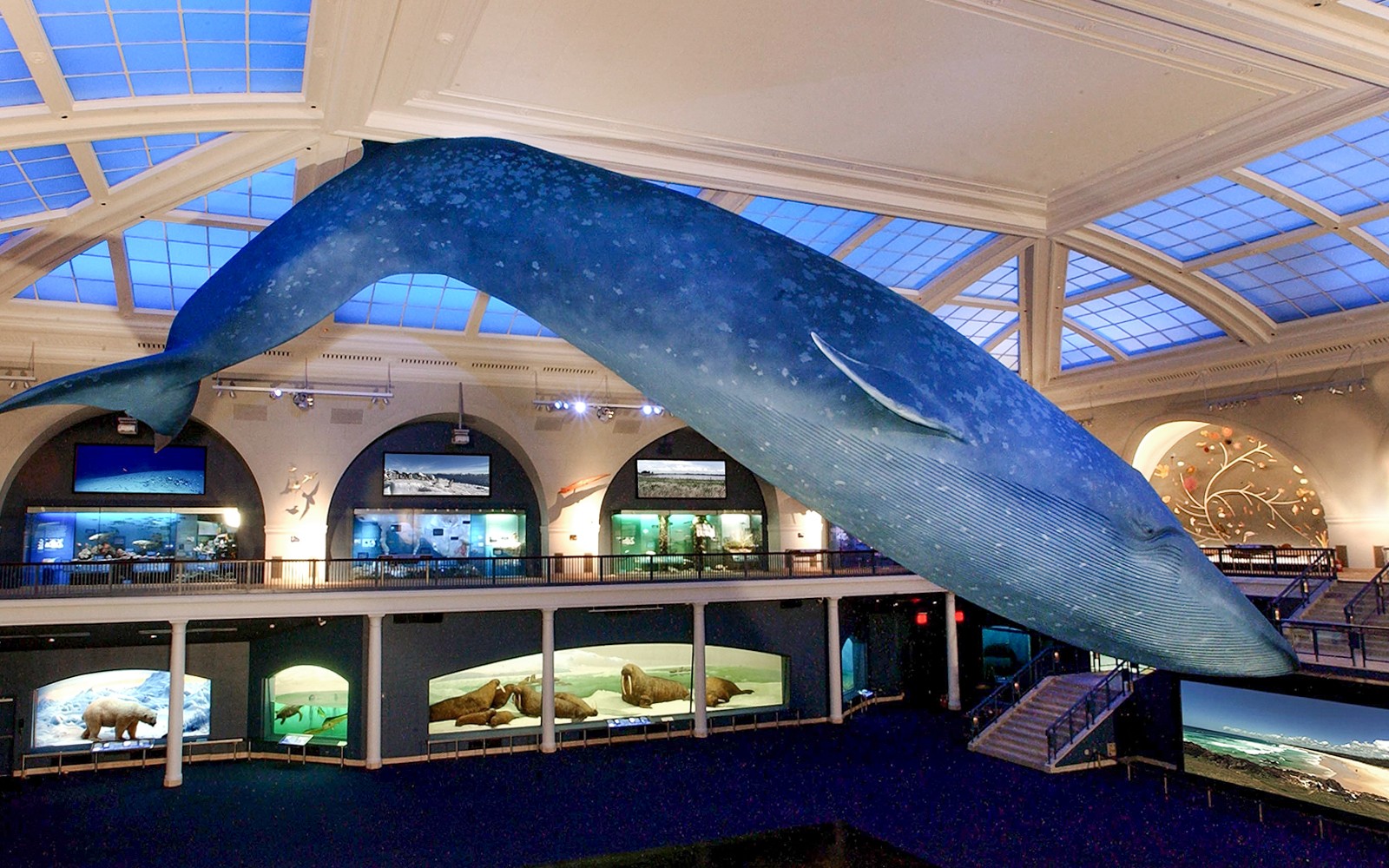 American Museum of Natural History Tickets