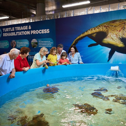 Cairns Aquarium & Tomb of the Pharaohs: Entry Ticket — gallery 3