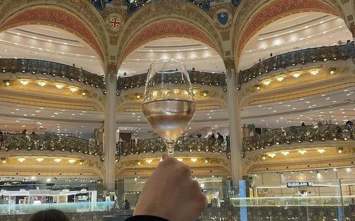 french wine and cheese tasting with sommelier at galeries lafayette dome tickets-4