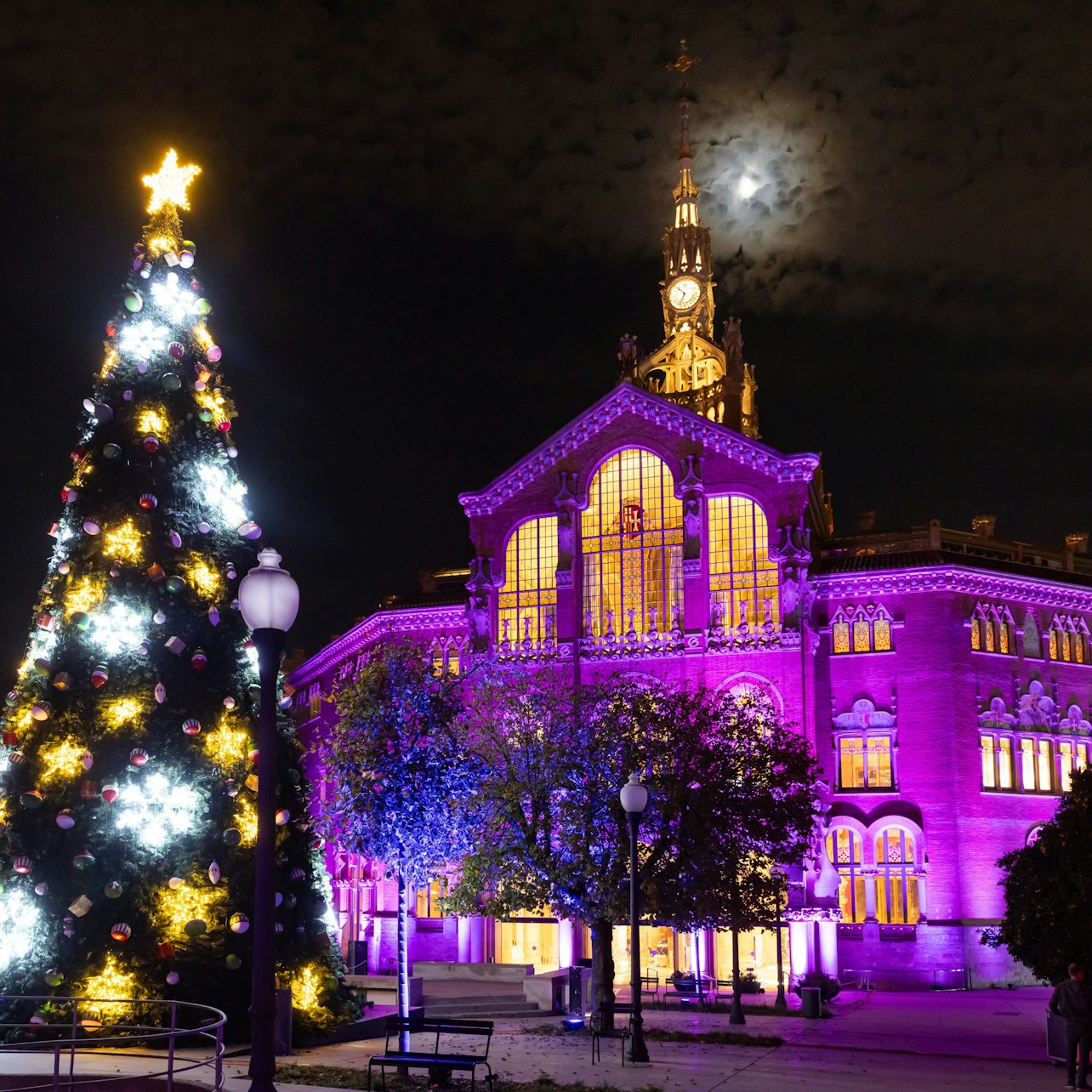 Els Llums de Sant Pau: Christmas Garden — gallery 2
