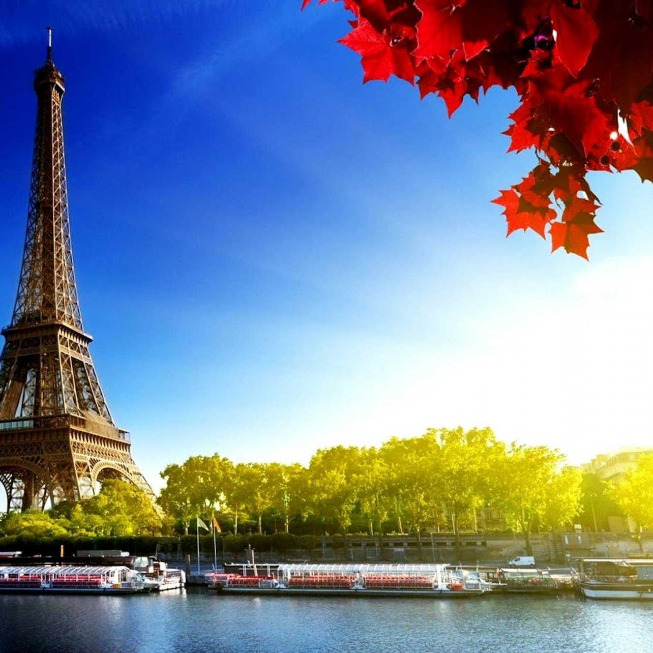 Paris: Roundtrip by Bus — gallery 1
