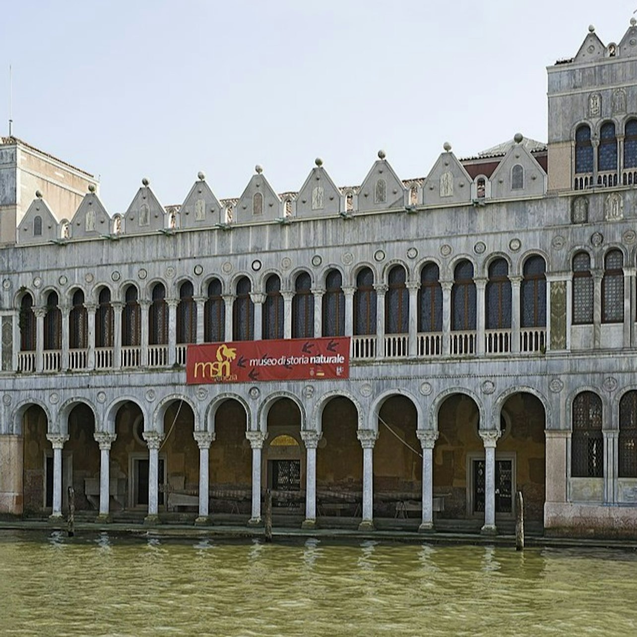 Natural History Museum (Museo di Storia Naturale): Entry ticket — gallery 2
