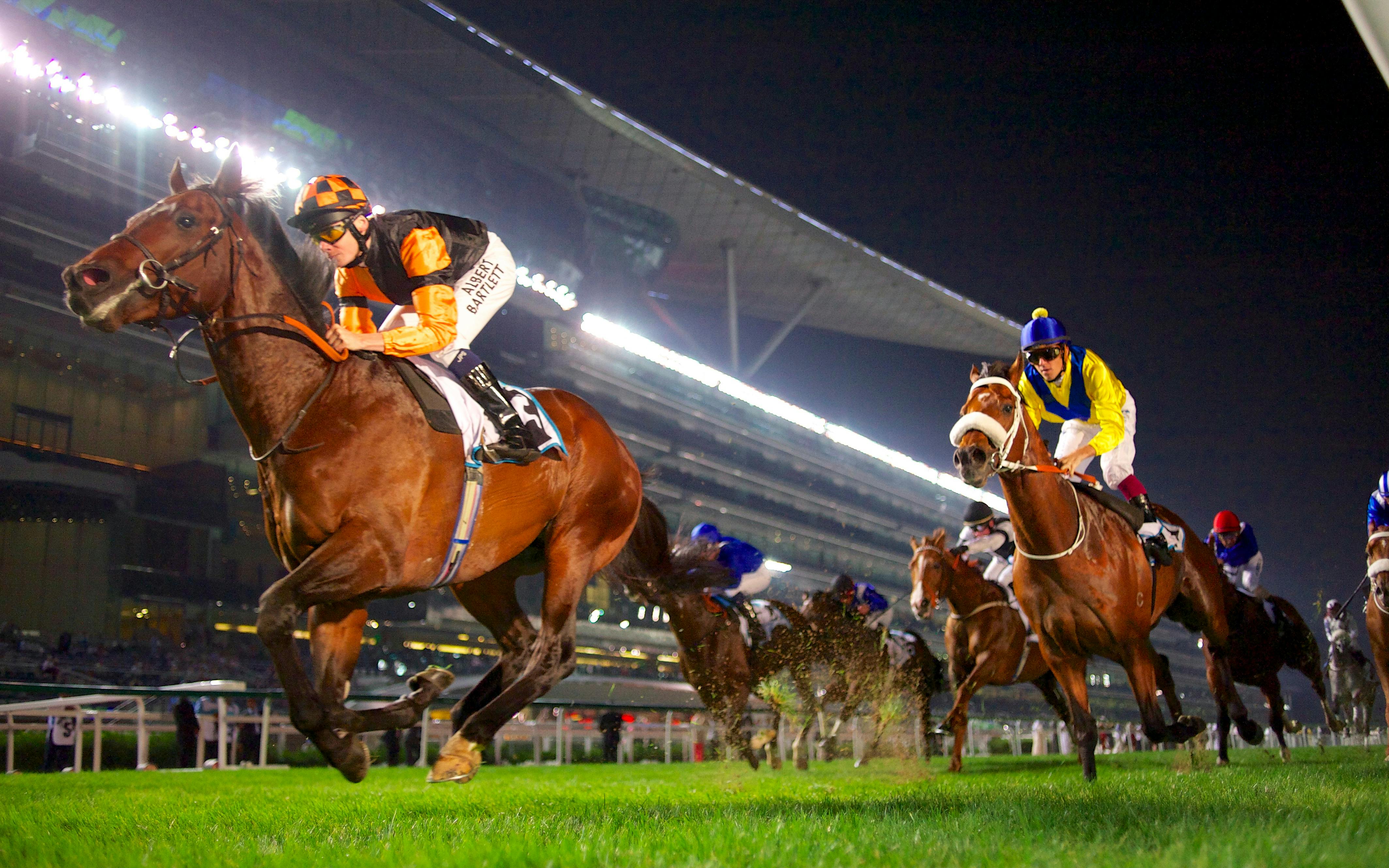 Meydan Races