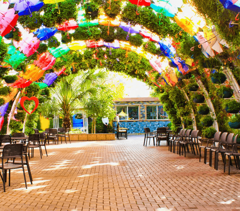Dubai Butterfly Garden Skip-the-Line Tickets