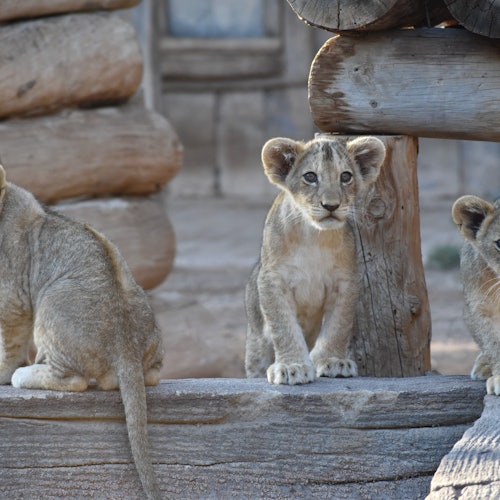 Terra Natura Murcia: Entry Ticket — gallery 2