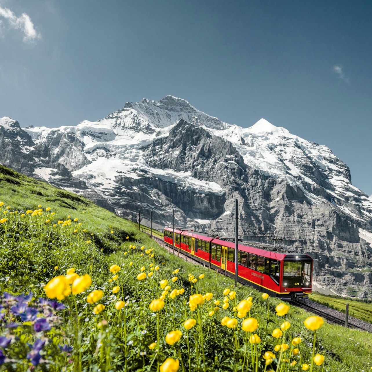 Jungfraujoch: Roundtrip Train from Interlaken Ost
