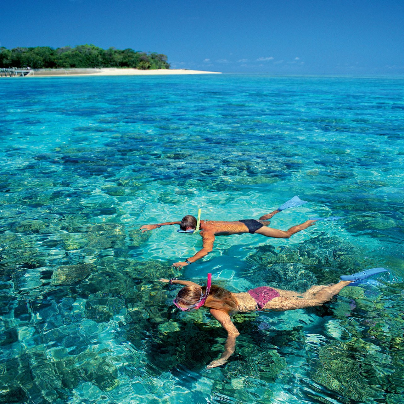 Green Island: 40-Min Guided Flight + Boat Cruise from Cairns + Lunch