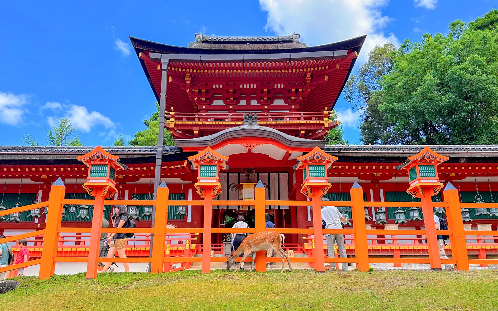 Nara and Kyoto One-Day Bus Tour — gallery 1