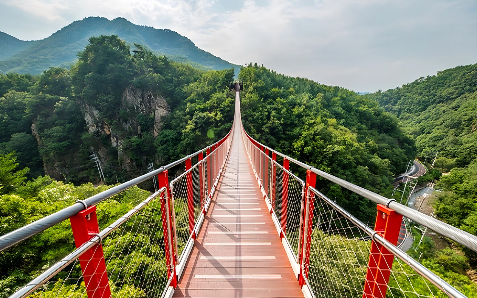 DMZ Full-Day Tour with Suspension Bridge Visit
