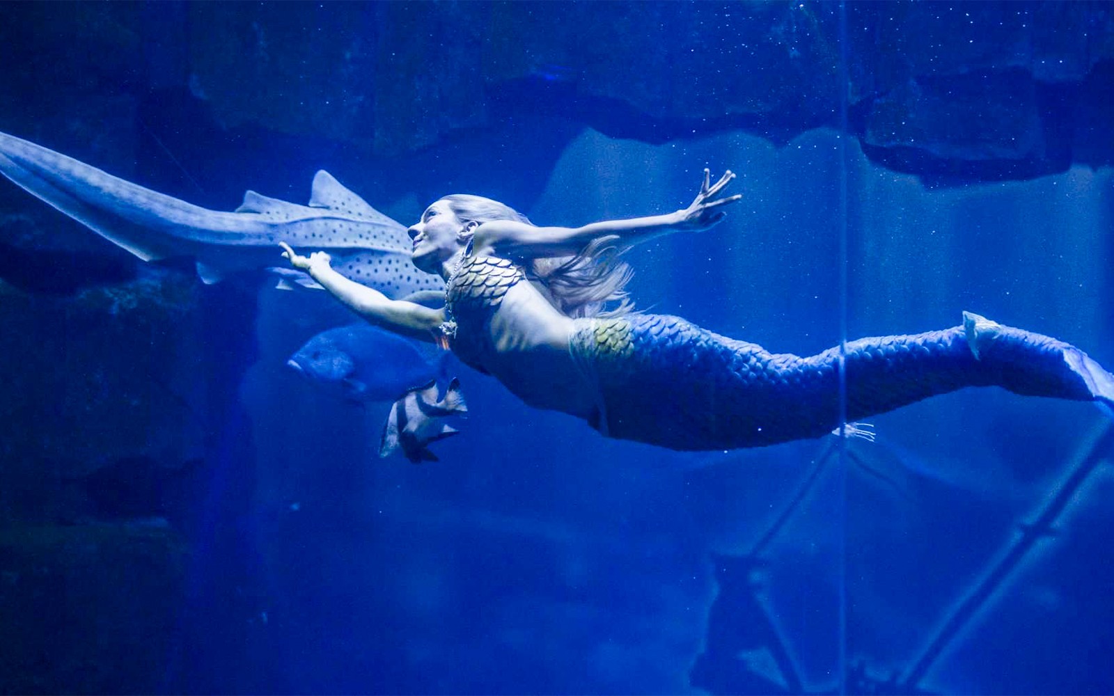 Aquarium de Paris Priority Access Tickets — gallery 2