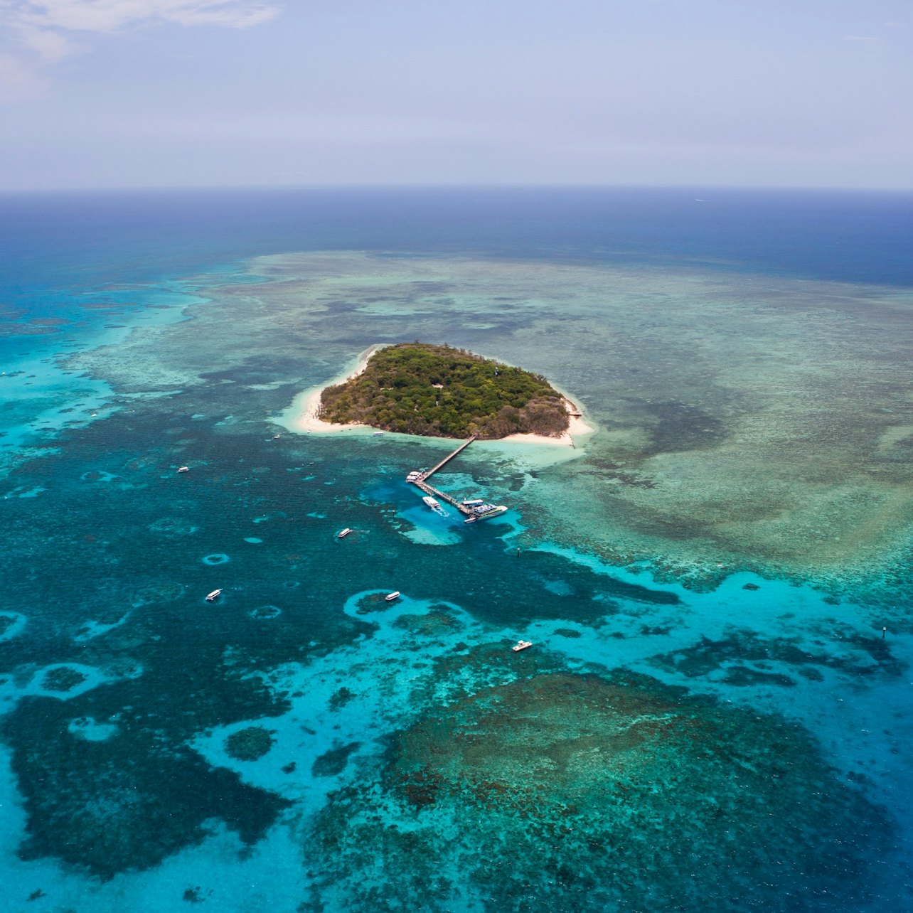 Green Island: 40-Min Guided Flight + Boat Cruise from Cairns + Lunch