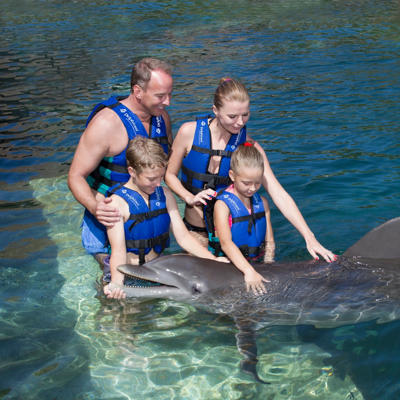 Delphinus Xcaret: Entry Ticket + Transfers + Swim with Dolphins