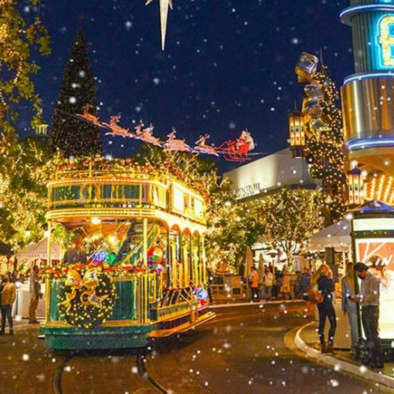 Los Angeles: Holiday Lights & Rodeo Drive Walking Tour