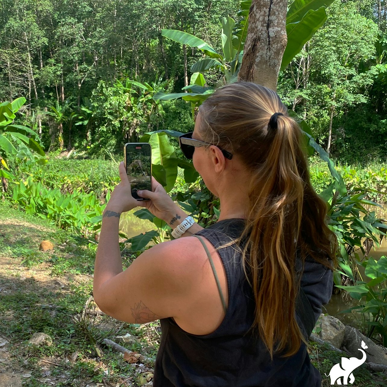 Hidden Forest Elephant Reserve: Guided Tour + Roundtrip Transport