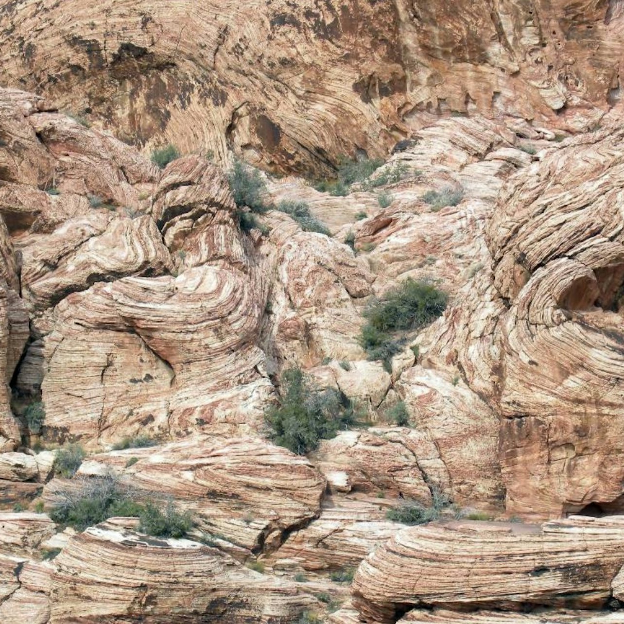 Red Rock Canyon Self-Guided Driving Audio Tour — gallery view 2
