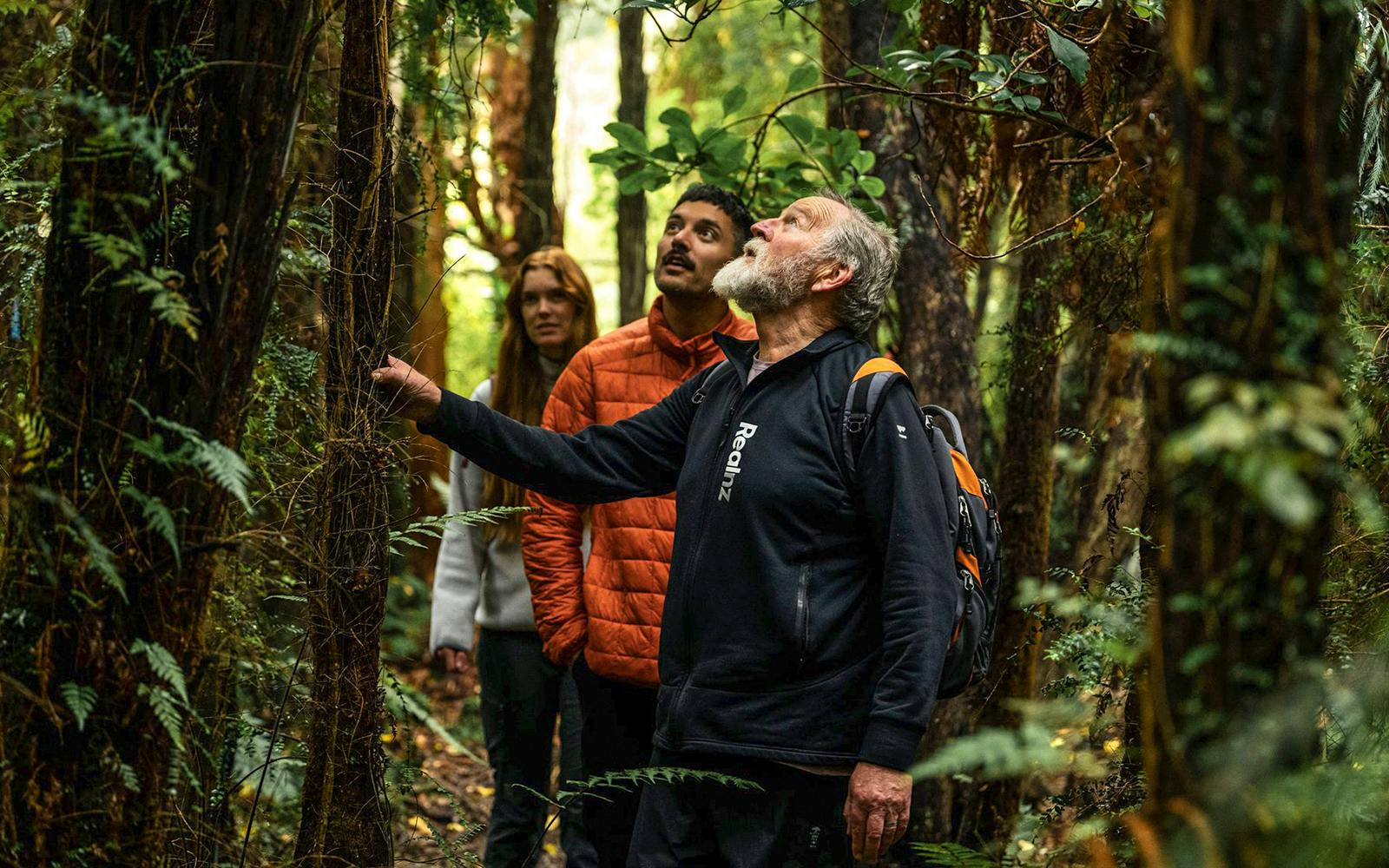 Stewart Island Guided Wilderness Walk