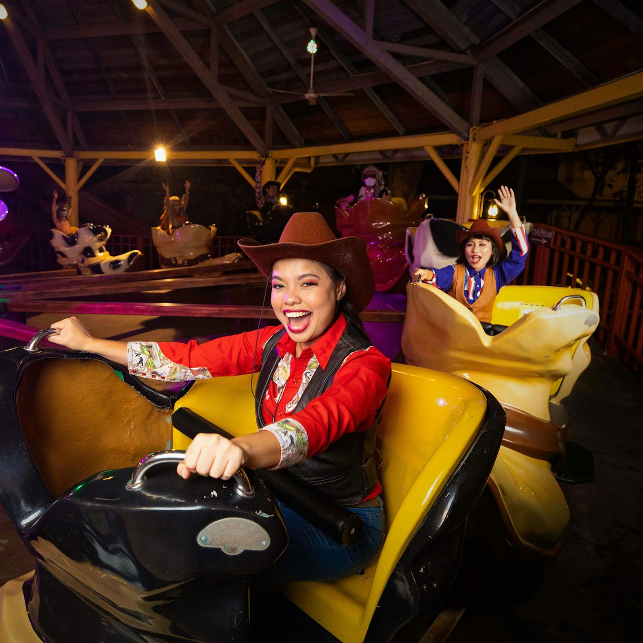 Sunway Lagoon: Night Entry Ticket