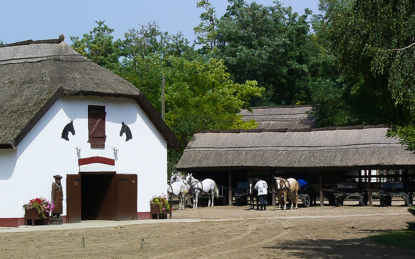 From Budapest: Kecskemet with Traditional Horse Show Day Trip — gallery 3